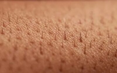 ¿Cuánto crece el pelo en un mes?